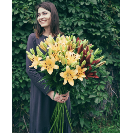 Желто-бордовый микс